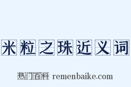 米粒之珠近义词是什么意思的图片